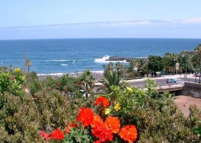 Mesa Del Mar Near Black * טקורונטה