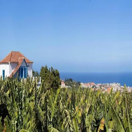 Cozy In Mesa Del Mar With Sea View Tacoronte