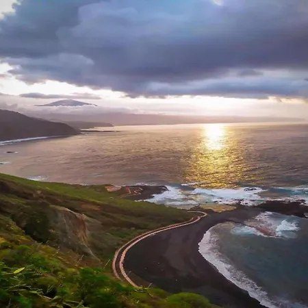 Mesa Del Mar Near Black *